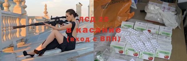 шишки Гусиноозёрск