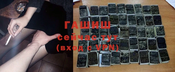 шишки Гусиноозёрск