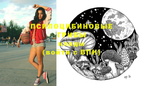 шишки Гусиноозёрск
